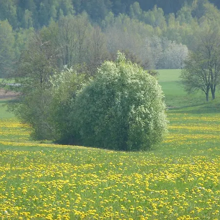 Apartment Fichtelgebirge Ii *